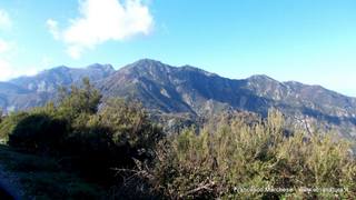 nte Scuderi-23-11-2014 09-47-24